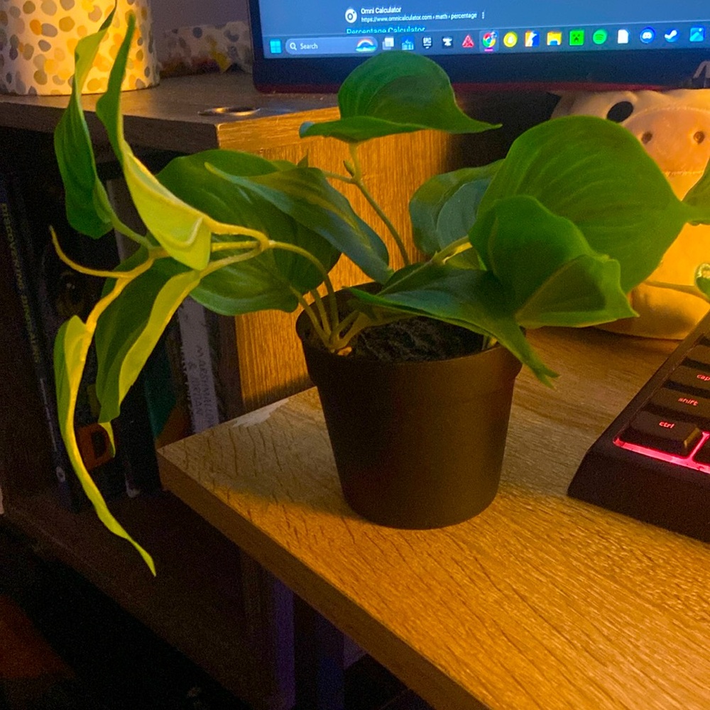 fake plant